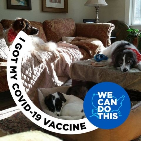 Meet your Posher, Frances - Picture 1 of 1